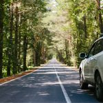 It’s All in the Mind: A Drive Beyond Fear